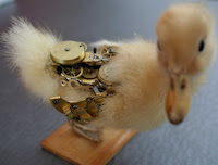 steampunk taxidermy, fixed - duckling