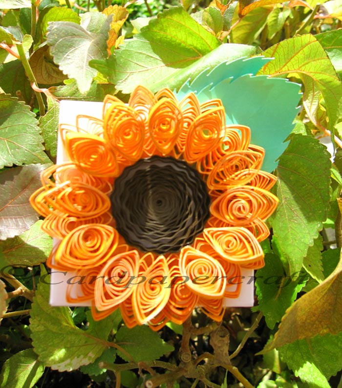 Card & Paper Craft Quilled Sunflower