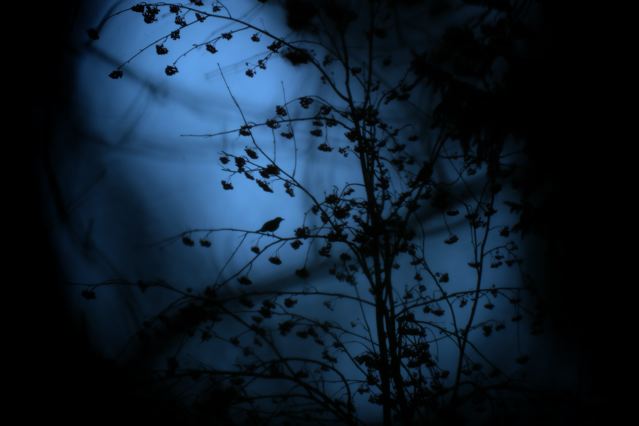 [SafeRedirect+5.aspx]