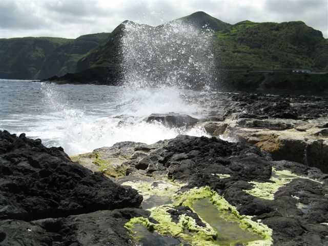 [IMG_5290.JPG]