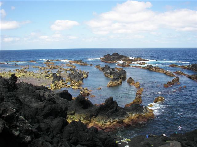 [100_8604.JPG]