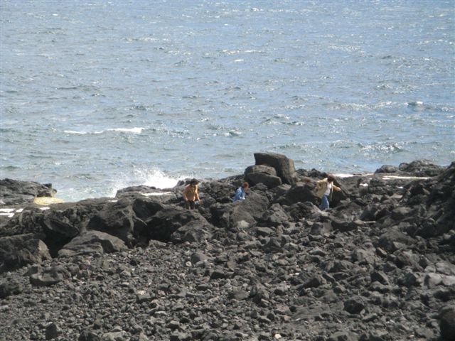 [IMG_5284.JPG]