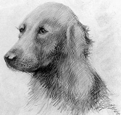 Рисунок Адольфа Гитлера - Собака Рисунок Адольфа Гитлера - Собака