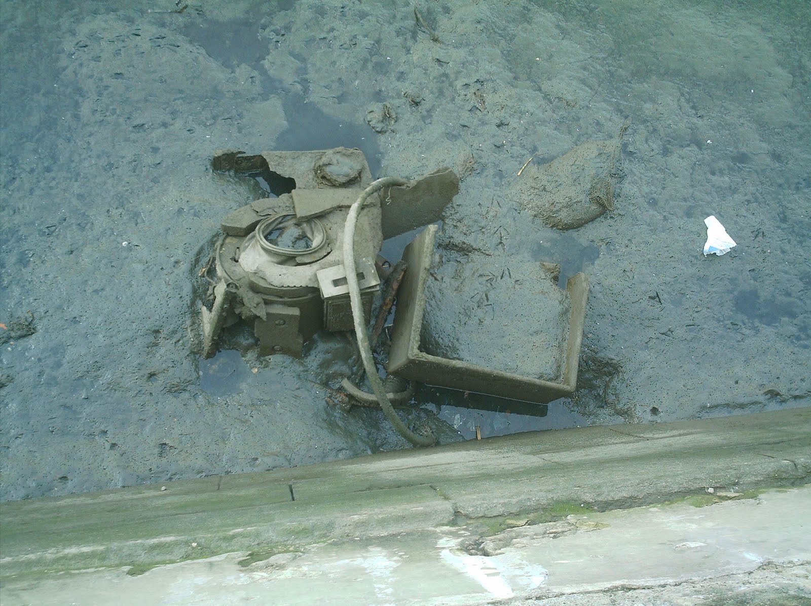[IMAG0025.JPG]