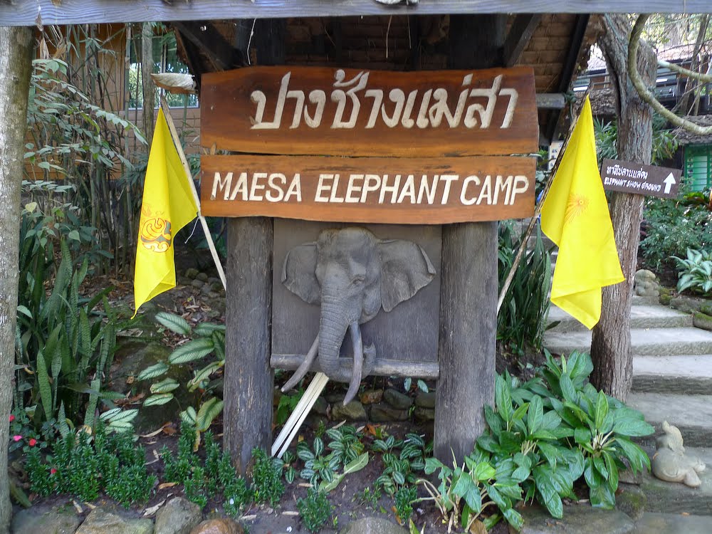 [Blog-4.jpg]