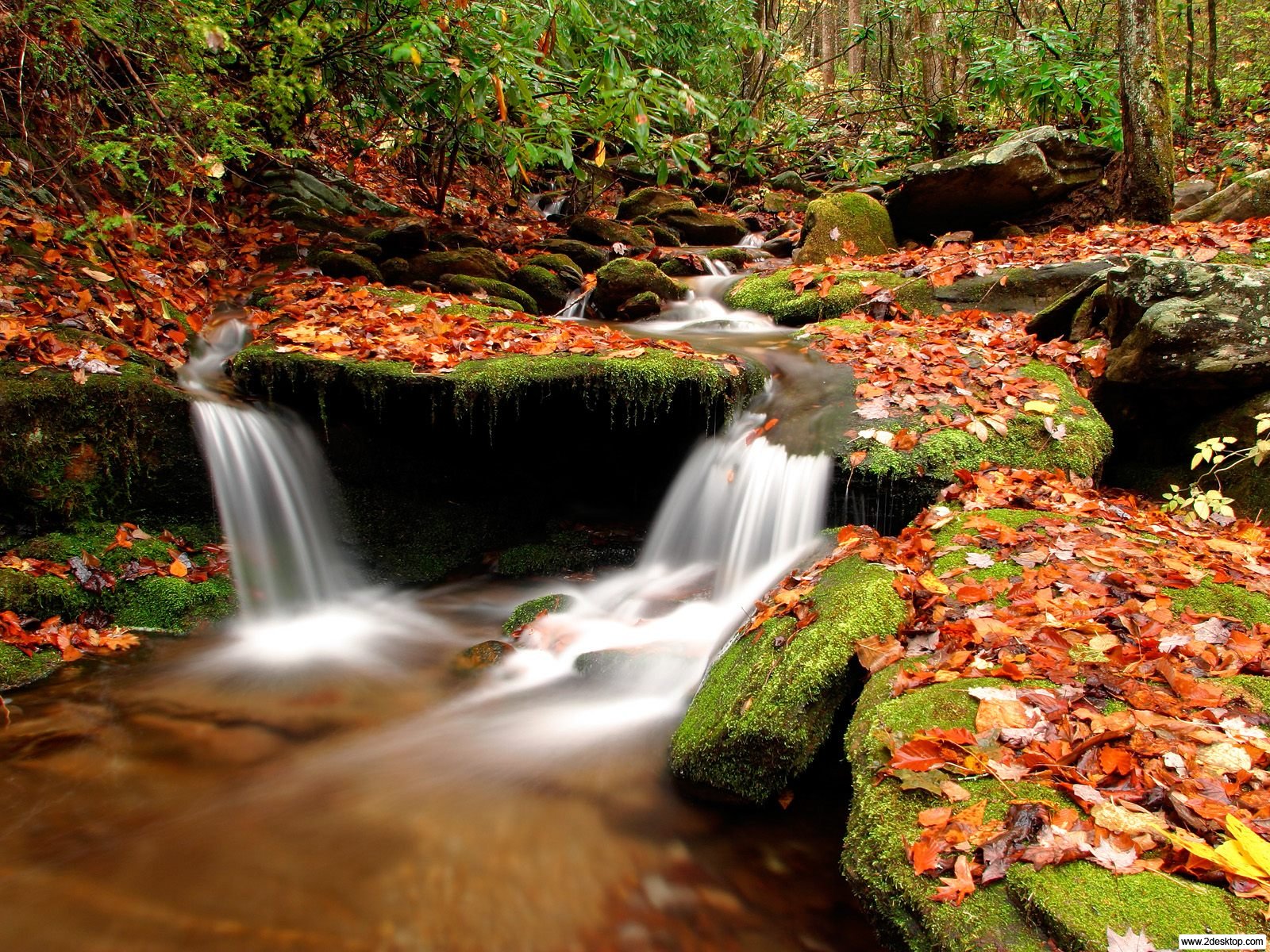 [Wesser-Creek-in-Autumn-Nantahala-National-Forest-North-Carolina.jpg]