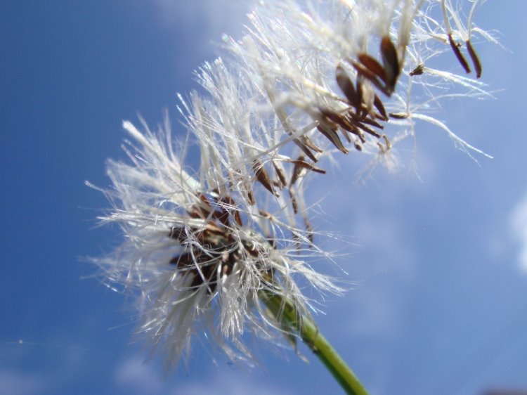 [tudooventolevou.jpg]