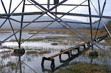 View of Richardson Bay