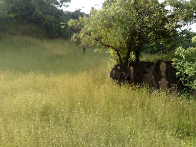 Sagargad Fort - Alibag