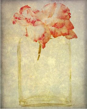 [flower15.png]