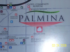 Map to Palmina
