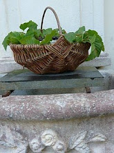 panier à la fontaine