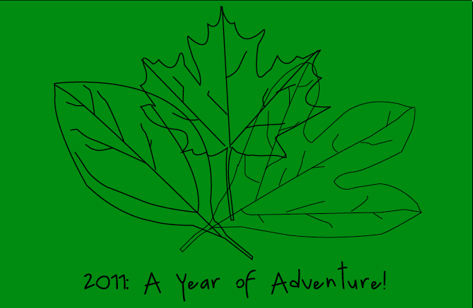 2011: A year of Adventure!