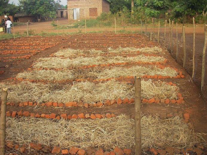 St. Paul & Rose Orphanage Garden, finished!