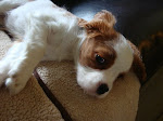 Napping on the couch