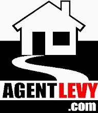AgentLevy icon