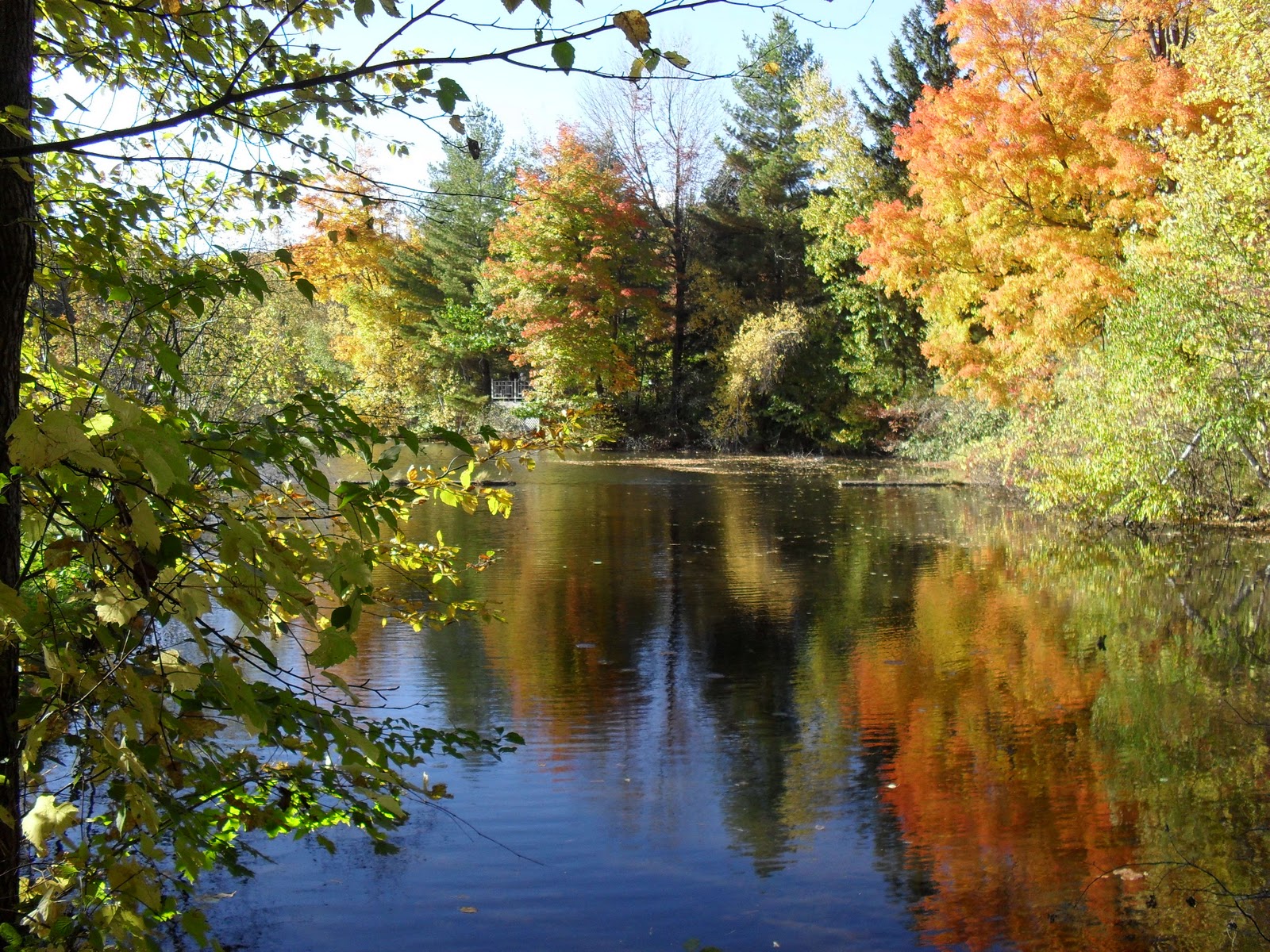 rencontre mont tremblant