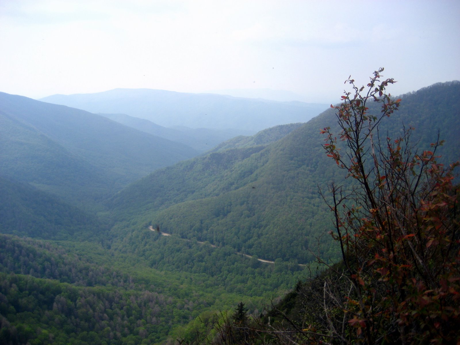 [IMG_3065.JPG]