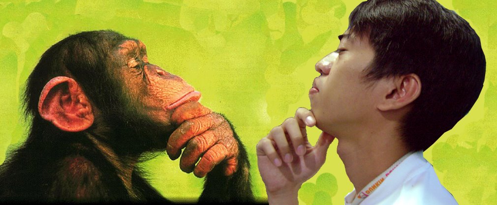 [chimpandi.jpg]