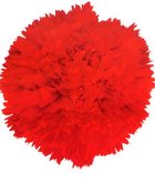 [Cravo+de+Abril.jpg]