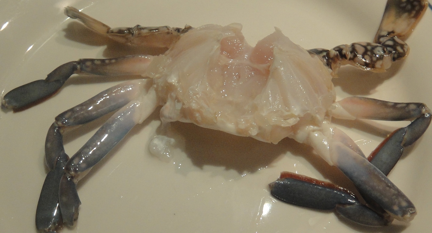 Malar's Kitchen How to Clean Crabs?