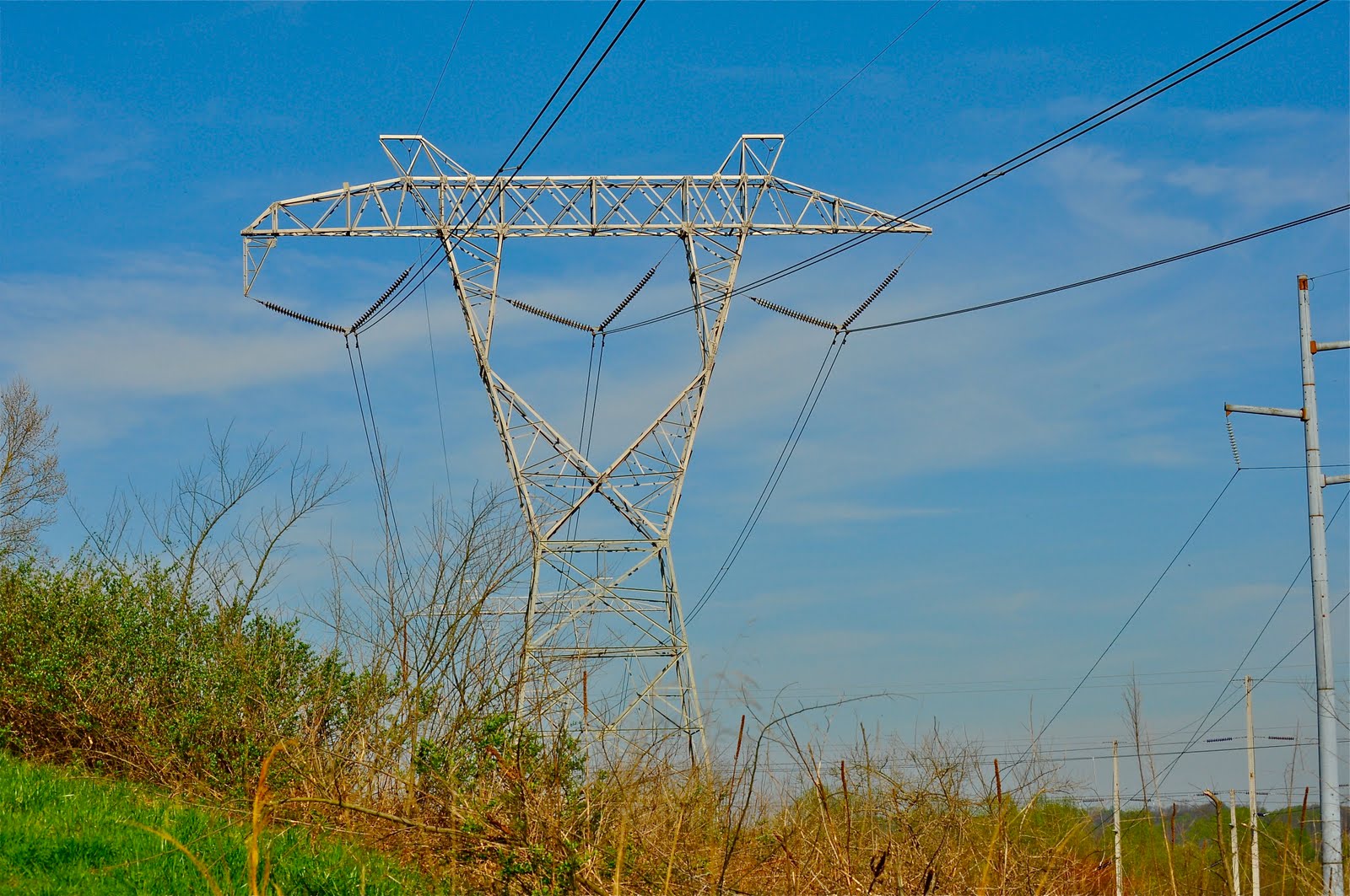 Wit's End Unmitigated Disasters