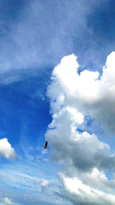 [cielo.JPG]