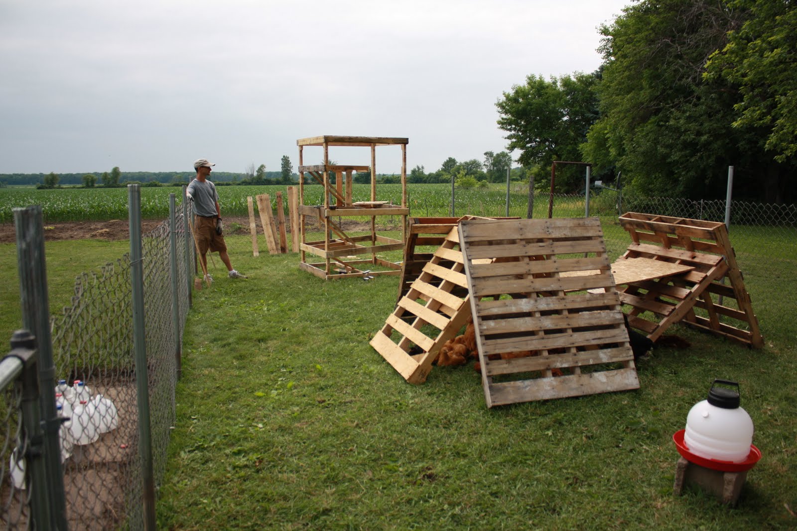 Michigan Roys Homemade Chicken Coop