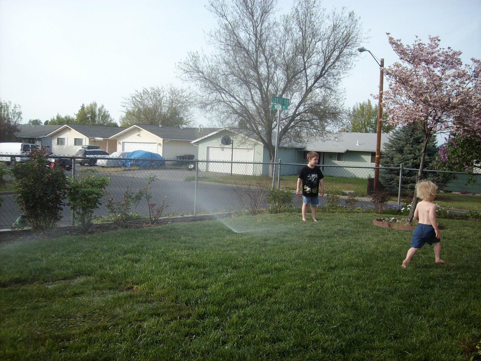 [Spring+08+045.JPG]