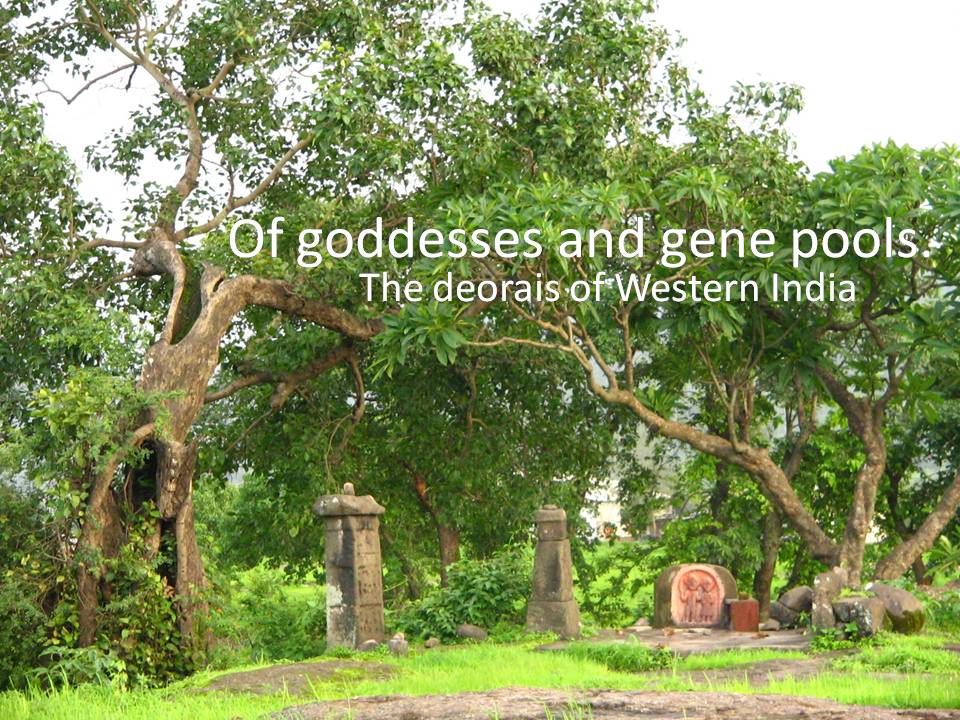 [Slide1.JPG]