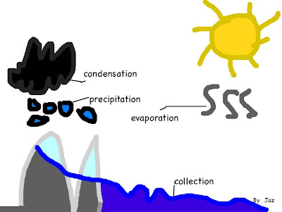 Room 14 Sunnybrae Normal School: Drawings of the Water Cycle done by