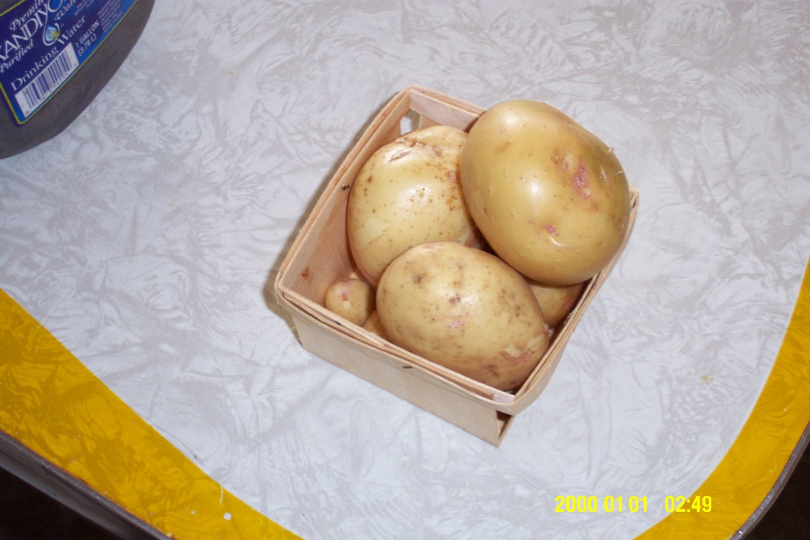 [DCP_1259.JPG]