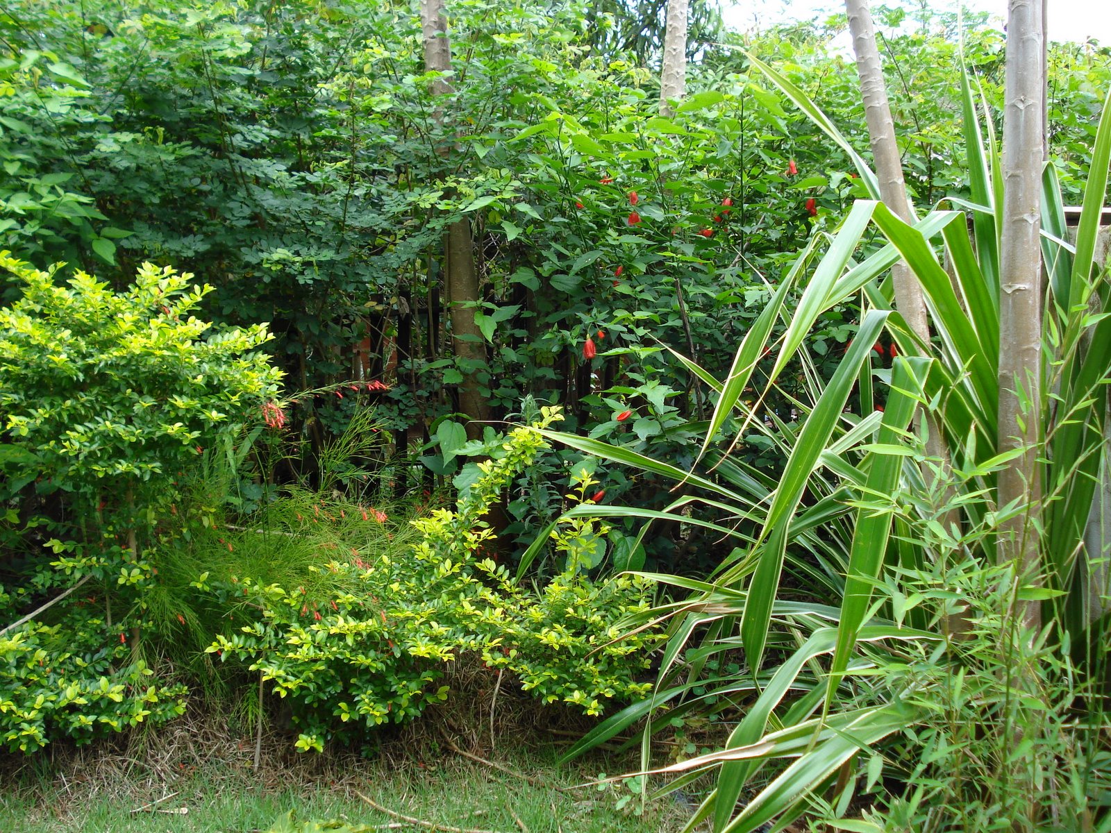 [DSC00047.JPG]