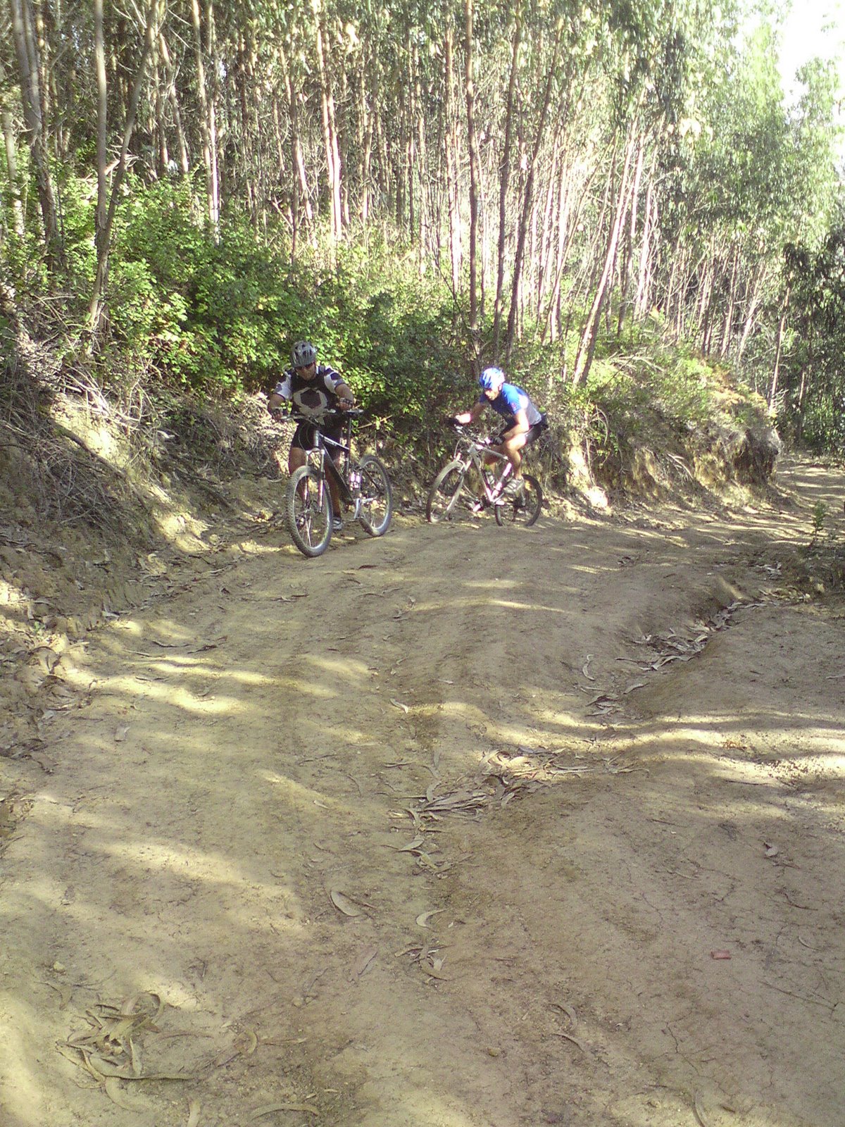 [DSC01270.JPG]