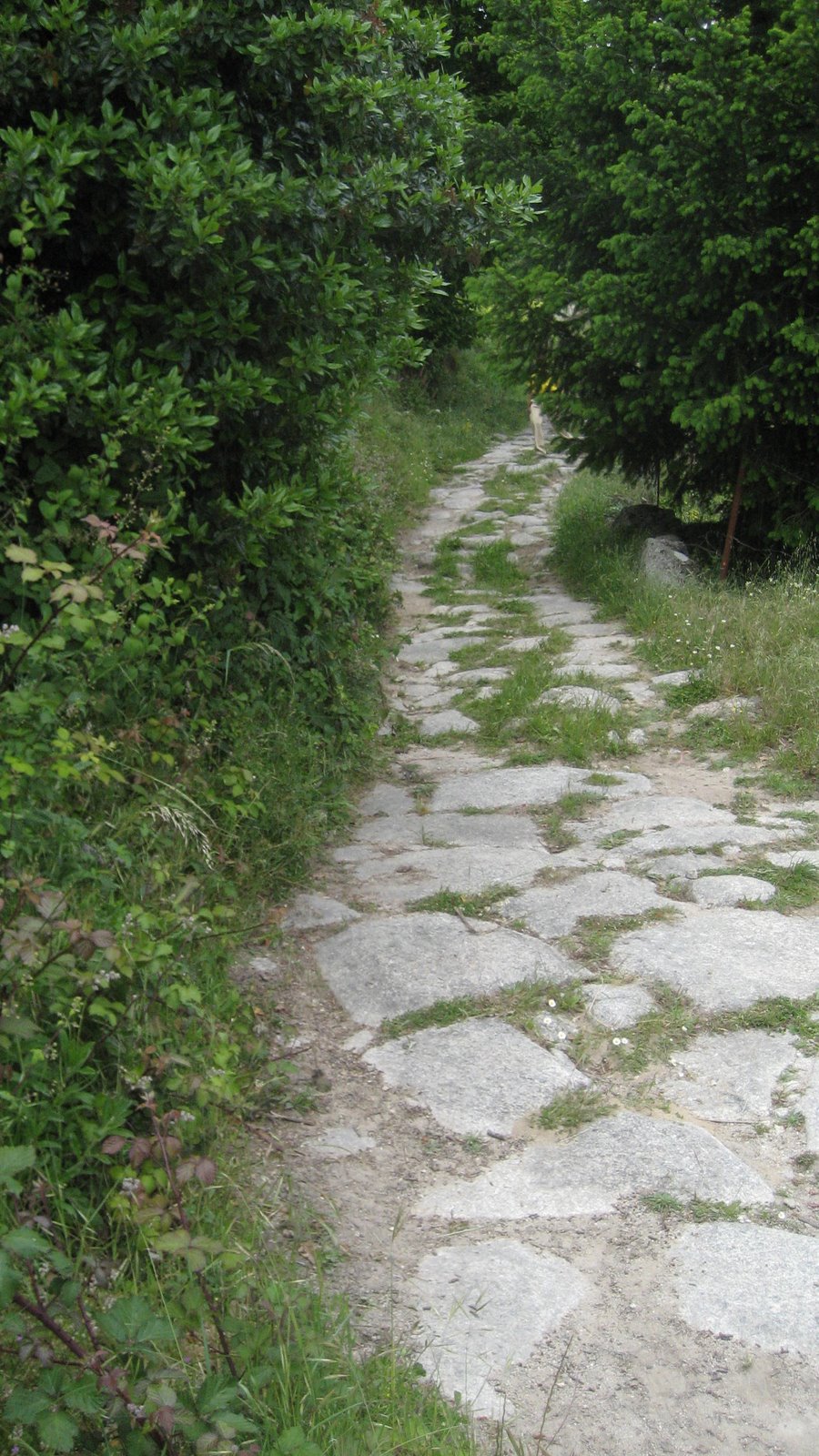 [IMG_0377.JPG]