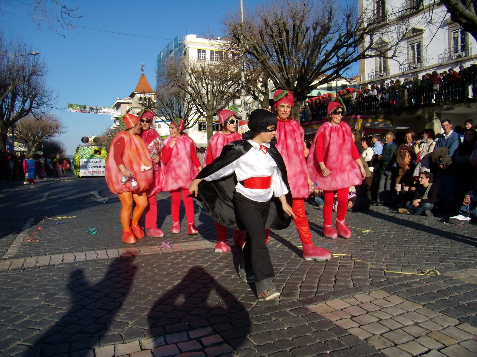 [P2240179.JPG]