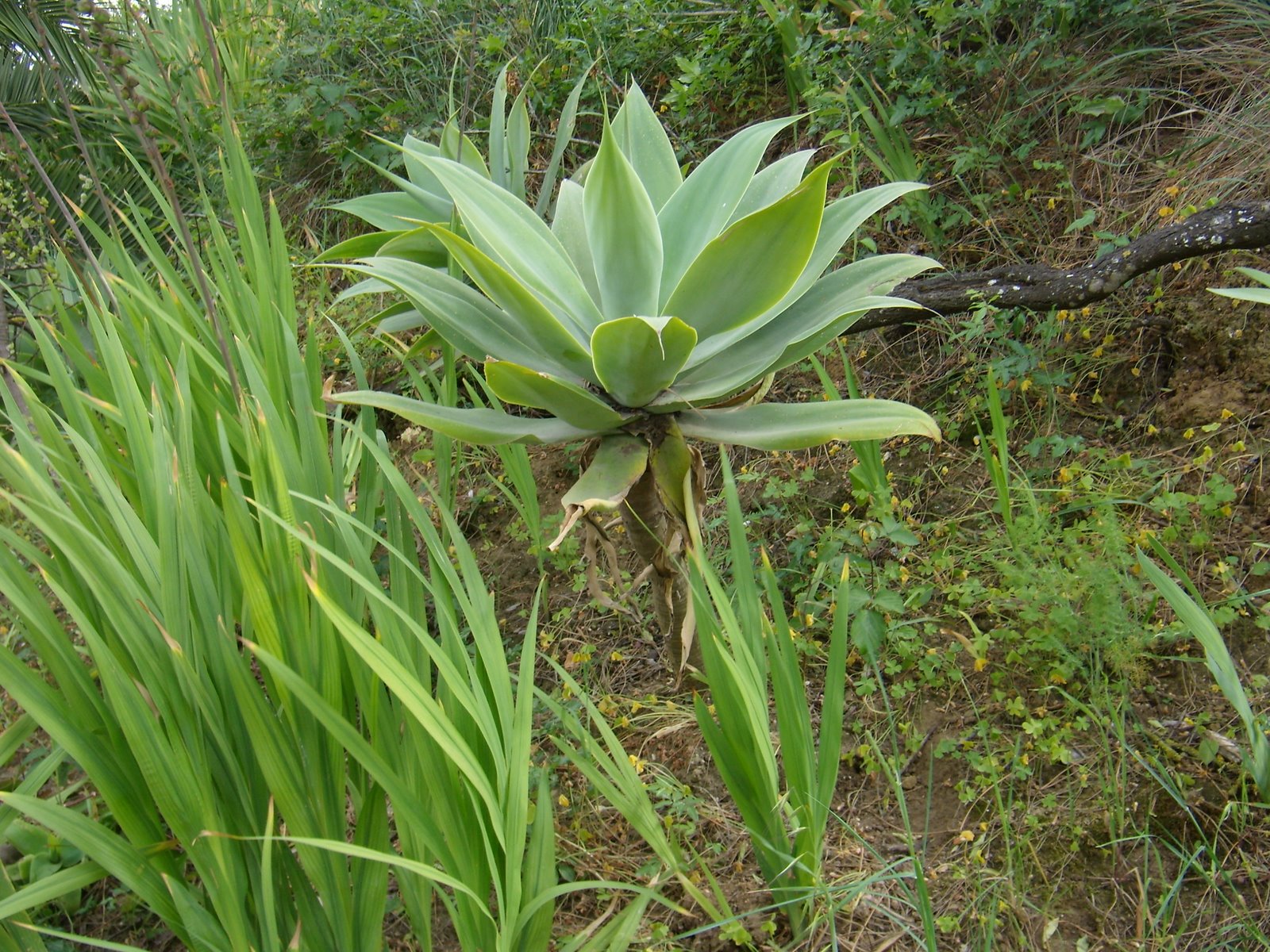 [P4250029.JPG]