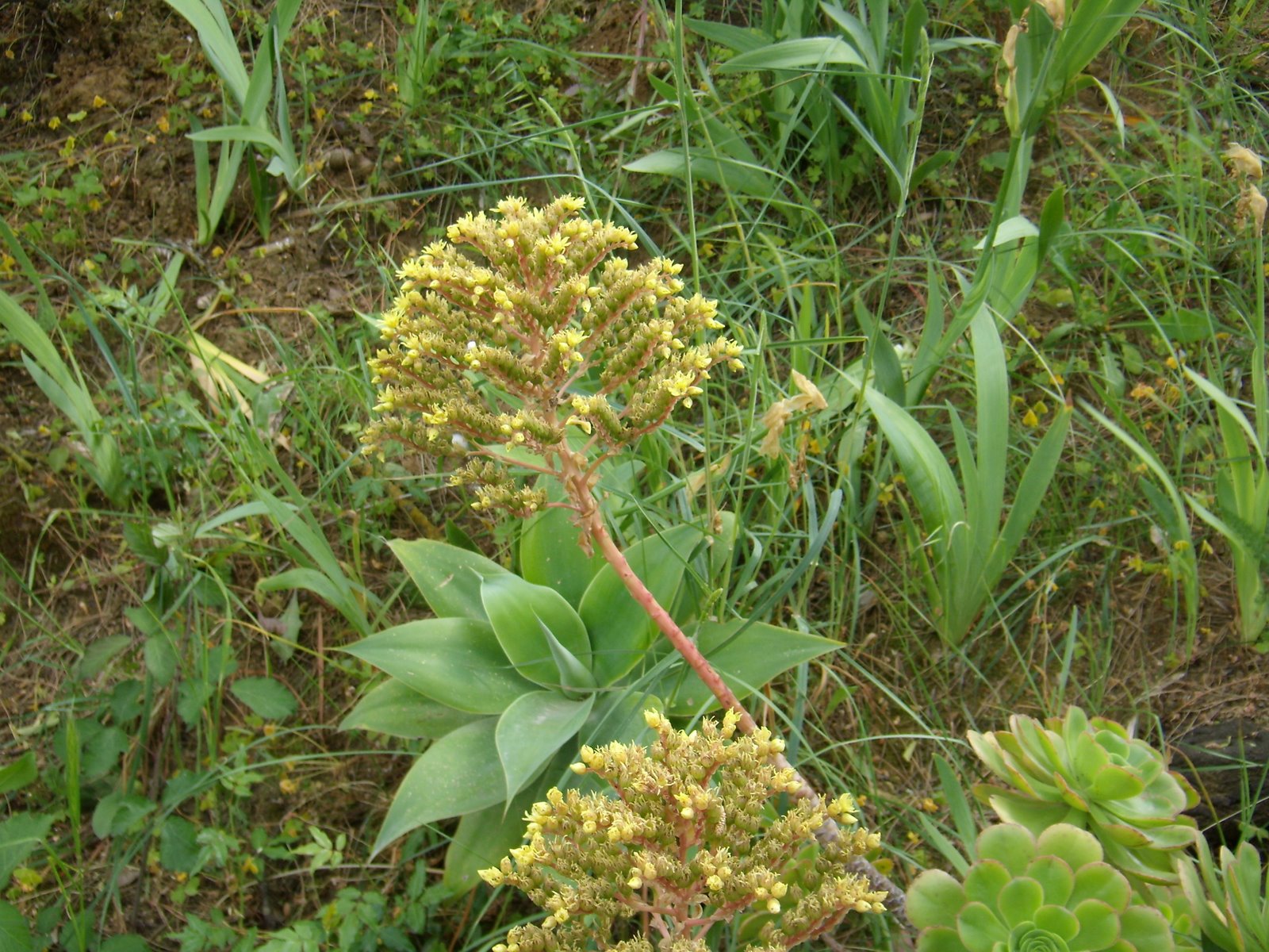 [P4250030.JPG]