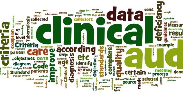 clinical audit topic on physiotherapy clinical audit topic on physiotherapy