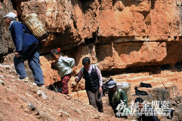 [我们一起努力.php]