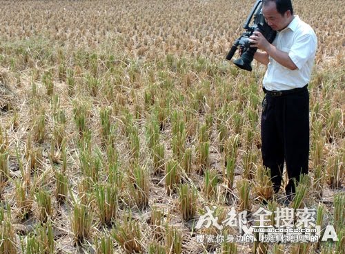 [我渴望成长.php]