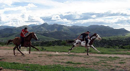 caballos