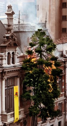 [arbol+quemado+frontis+palacio+consistorial.jpg]