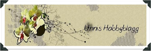 Unnis Hobbyblogg