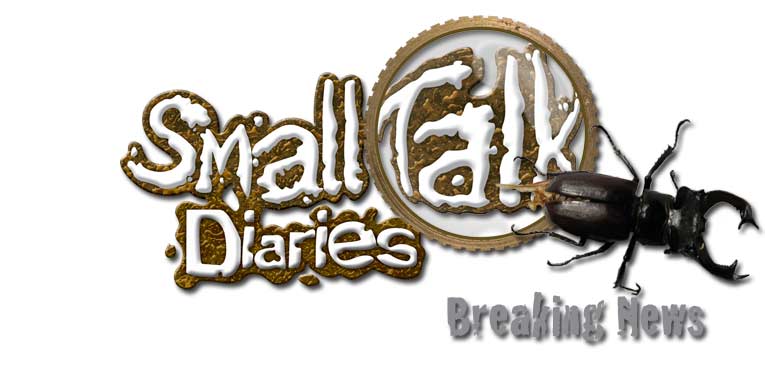smalltalk diaries news