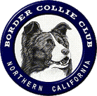 Border Collie Club of Northern California