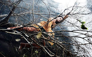 Vikram Ravana Stills wallpapers Gallery