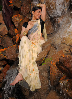 Shraddha Arya Hot Photos