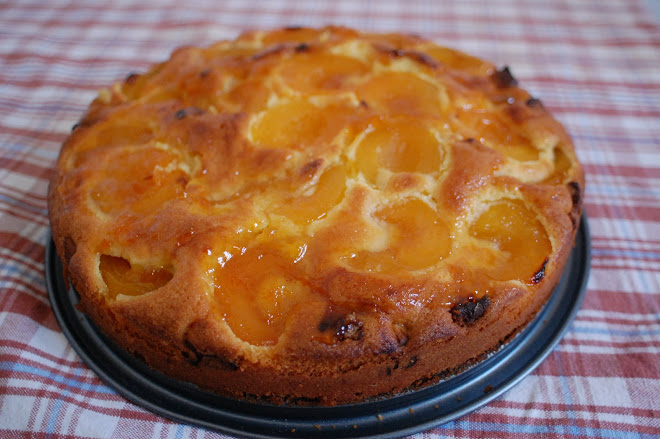 Apricot-Marzipan Cake