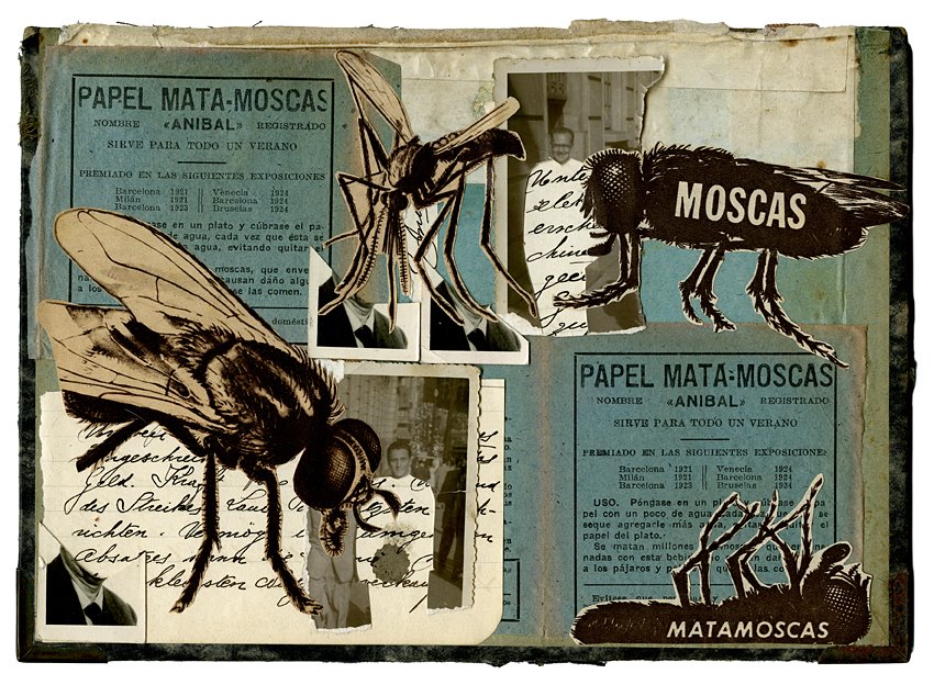 [MOSCAS+-+DANI+SANCHIS.jpg]